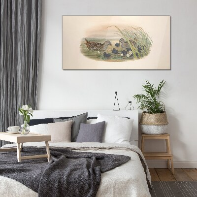 Glasbild Entenfamilien in einer Wasserumgebung