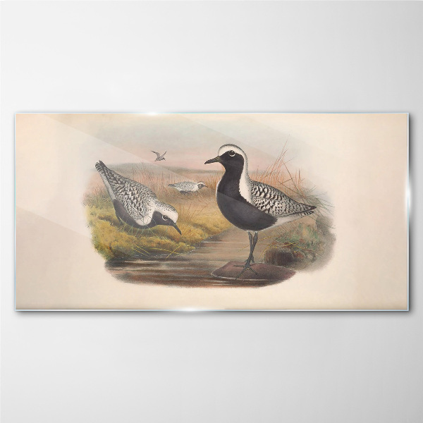 Glasbild Vögel in ihrem natürlichen Lebensraum