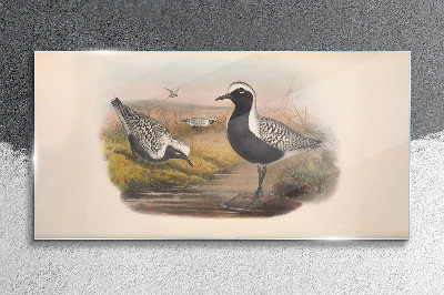 Glasbild Vögel in ihrem natürlichen Lebensraum