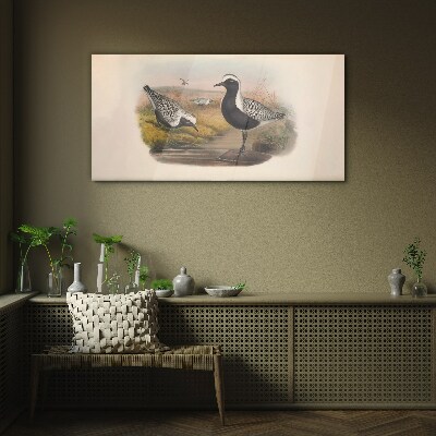 Glasbild Vögel in ihrem natürlichen Lebensraum