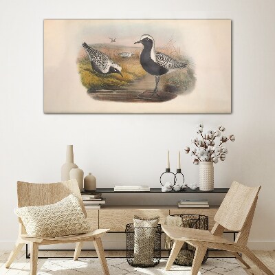 Glasbild Vögel in ihrem natürlichen Lebensraum