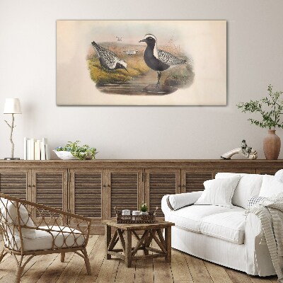 Glasbild Vögel in ihrem natürlichen Lebensraum