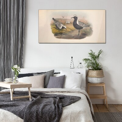 Glasbild Vögel in ihrem natürlichen Lebensraum