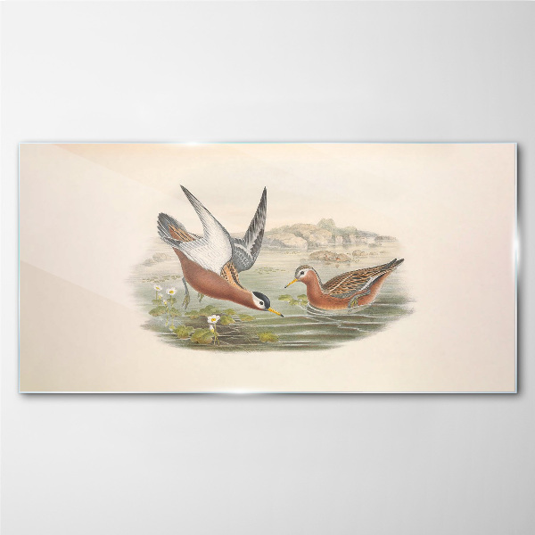 Bild auf glas Vögel über dem Wasser