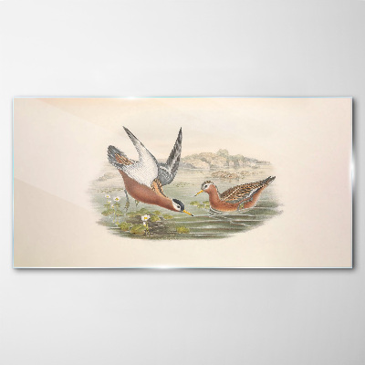 Bild auf glas Vögel über dem Wasser