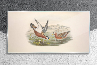 Bild auf glas Vögel über dem Wasser
