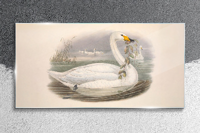 Glasbild Schwan mit einem Zweig