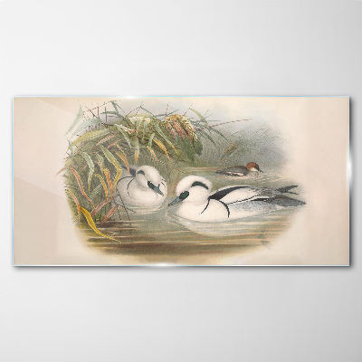 Glasbild Ein idyllisches Duett zwischen den Gräsern