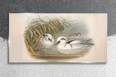 Glasbild Ein idyllisches Duett zwischen den Gräsern