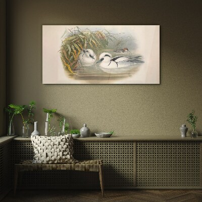 Glasbild Ein idyllisches Duett zwischen den Gräsern