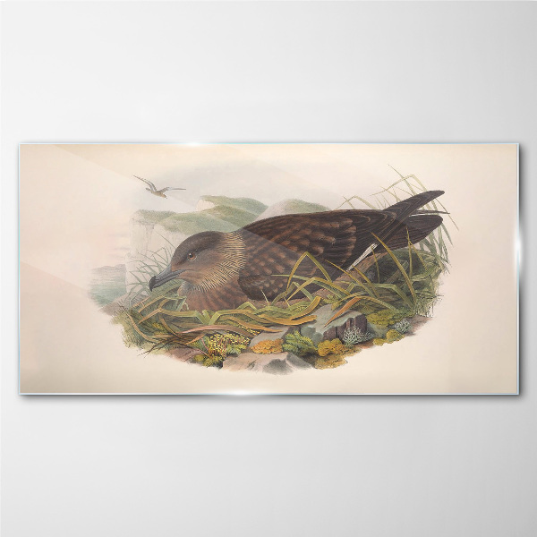 Glasbild Ein Vogelnest in seiner natürlichen Umgebung