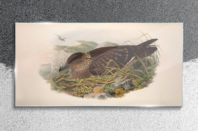 Glasbild Ein Vogelnest in seiner natürlichen Umgebung