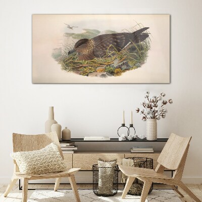 Glasbild Ein Vogelnest in seiner natürlichen Umgebung