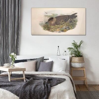 Glasbild Ein Vogelnest in seiner natürlichen Umgebung
