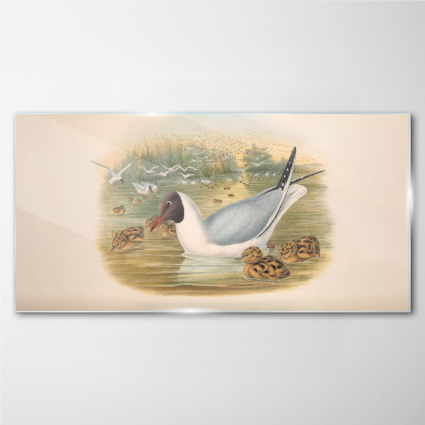 Glasbild Möwe mit Jungtier im Wasser