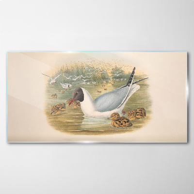 Glasbild Möwe mit Jungtier im Wasser
