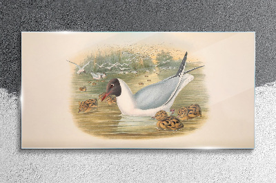 Glasbild Möwe mit Jungtier im Wasser