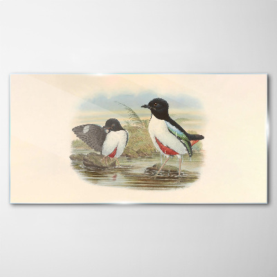 Glasbild Vögel über dem Wasser