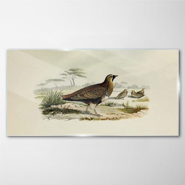 Glasbild Vögel Wildtiere