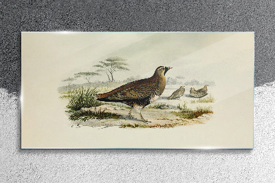 Glasbild Vögel Wildtiere