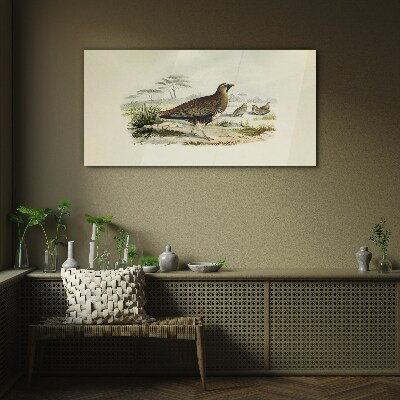 Glasbild Vögel Wildtiere