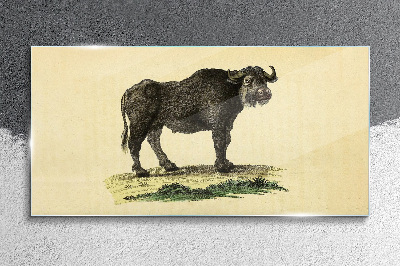 Glasbild Büffel auf natürlichem Hintergrund