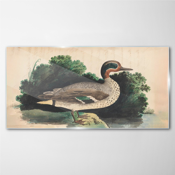 Glasbild Eine Ente im Grünen