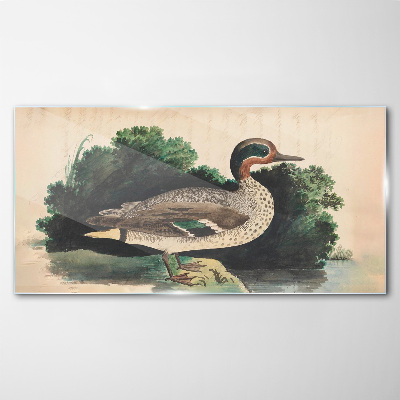 Glasbild Eine Ente im Grünen