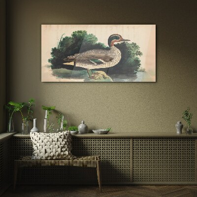 Glasbild Eine Ente im Grünen