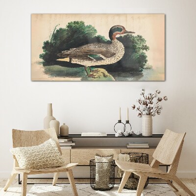 Glasbild Eine Ente im Grünen