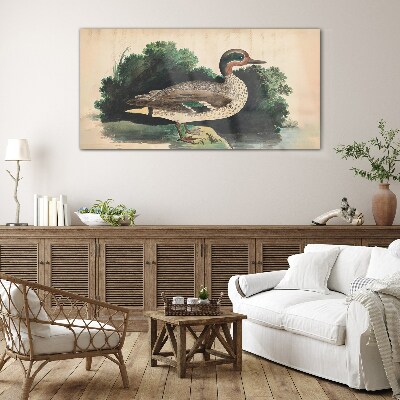 Glasbild Eine Ente im Grünen