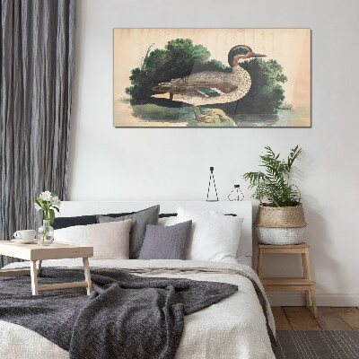 Glasbild Eine Ente im Grünen