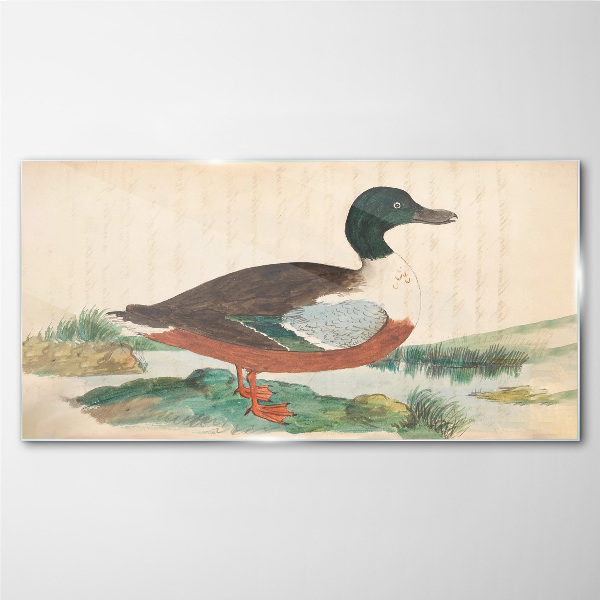Glasbild Ente vor dem grünen Hintergrund