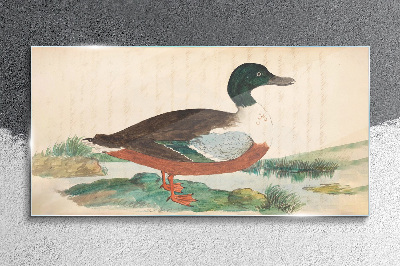 Glasbild Ente vor dem grünen Hintergrund
