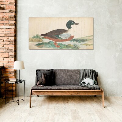 Glasbild Ente vor dem grünen Hintergrund