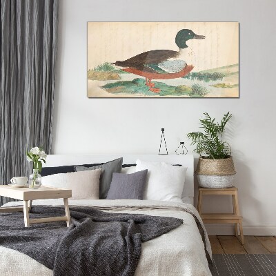 Glasbild Ente vor dem grünen Hintergrund