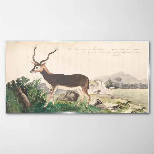 Bild auf glas Antilope im Hintergrund der Landschaft