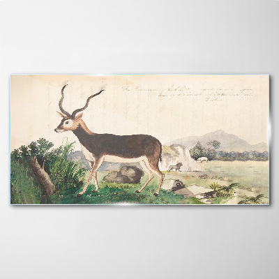 Bild auf glas Antilope im Hintergrund der Landschaft