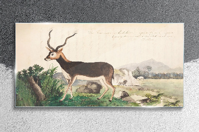 Bild auf glas Antilope im Hintergrund der Landschaft