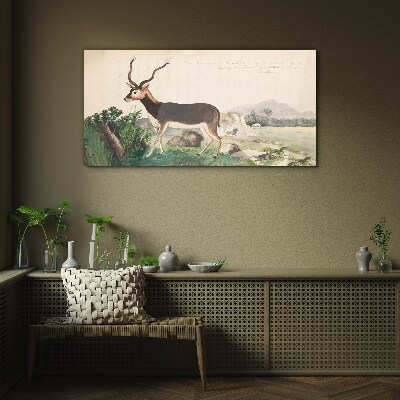 Bild auf glas Antilope im Hintergrund der Landschaft