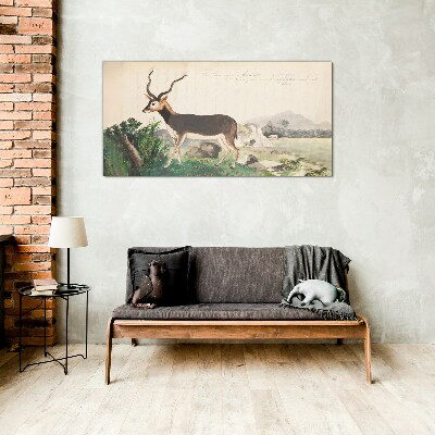 Bild auf glas Antilope im Hintergrund der Landschaft