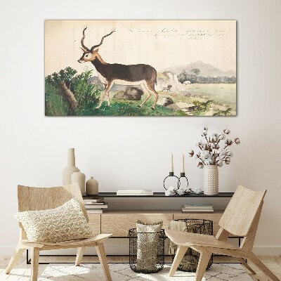 Bild auf glas Antilope im Hintergrund der Landschaft