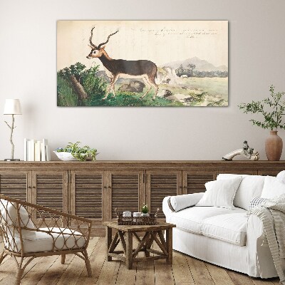 Bild auf glas Antilope im Hintergrund der Landschaft
