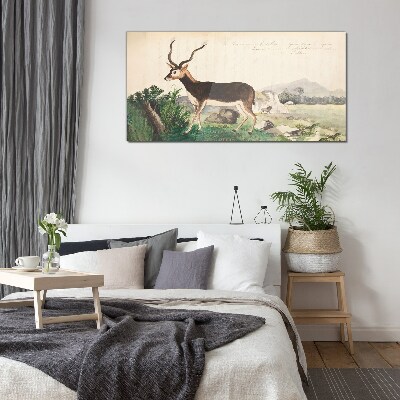 Bild auf glas Antilope im Hintergrund der Landschaft