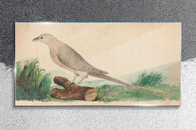 Glasbild Ein Vogel im Hintergrund der Natur