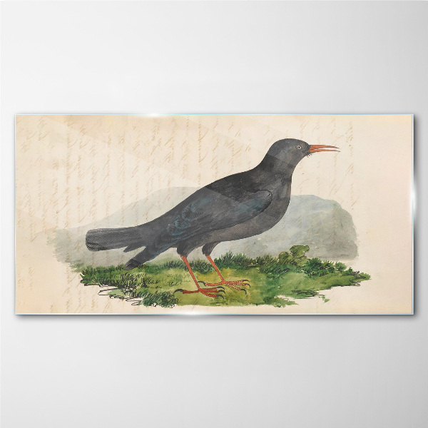 Glasbild Vogel auf grünem Hintergrund