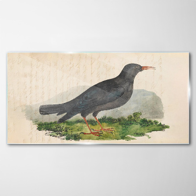 Glasbild Vogel auf grünem Hintergrund