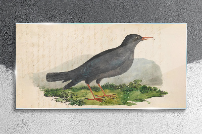 Glasbild Vogel auf grünem Hintergrund