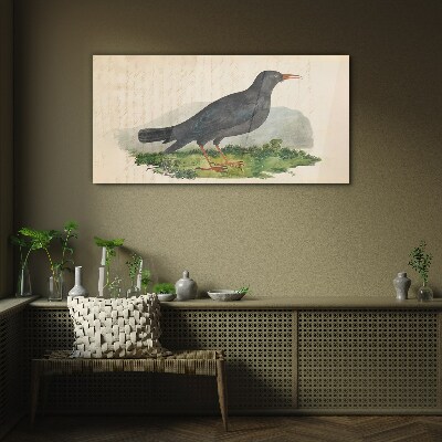 Glasbild Vogel auf grünem Hintergrund
