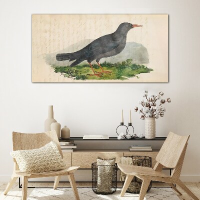 Glasbild Vogel auf grünem Hintergrund